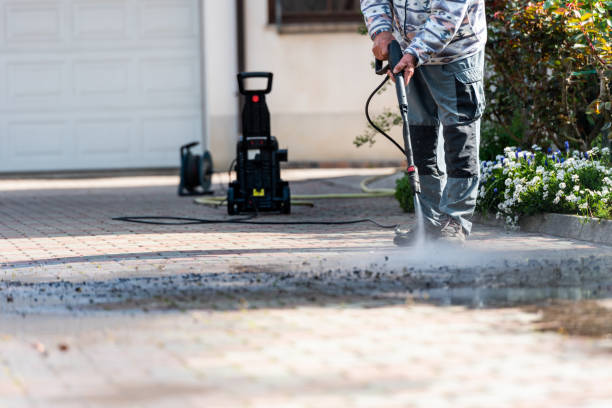 Best Affordable Power Washing  in La Homa, TX